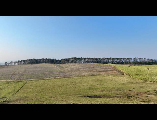 LAND FOR SALE IN MOUNT VERDE